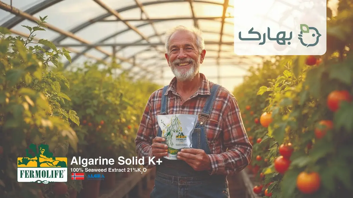 کود جلبک، کود آمینواسید، کود سه بیست و کود آهن چهار جنگجوی حرفه ای برای کشاورزان و تربیت شده توسط بهاران