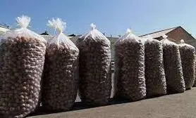 کشف 3تن گردوی قاچاق از منزلی در اصفهان