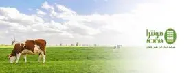 شرکت مونترا آریان لبن: طعم اصالت، کیفیت ماندگار