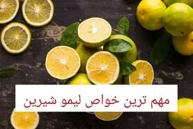 مهم ترین خواص لیمو شیرین با مضرات آن