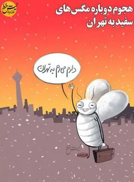 فراخوان مگس‌های سفید برای مهاجرت به تهران!