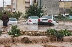 توضیحات معاون هلال‌احمر در خصوص مجروحان سیلاب