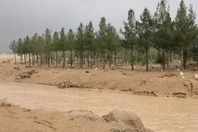 سیل در جرقویه راه افتاد