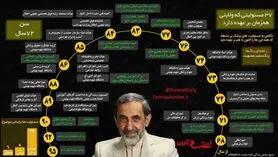 دکتر علی اکبر ولایتی با ۳۷ شغل همزمان