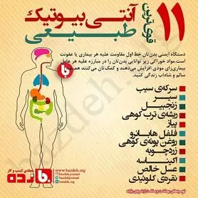 ۱۱ آنتی بیوتیک‌ طبیعی را بشناسید+ اینفوگرافی
