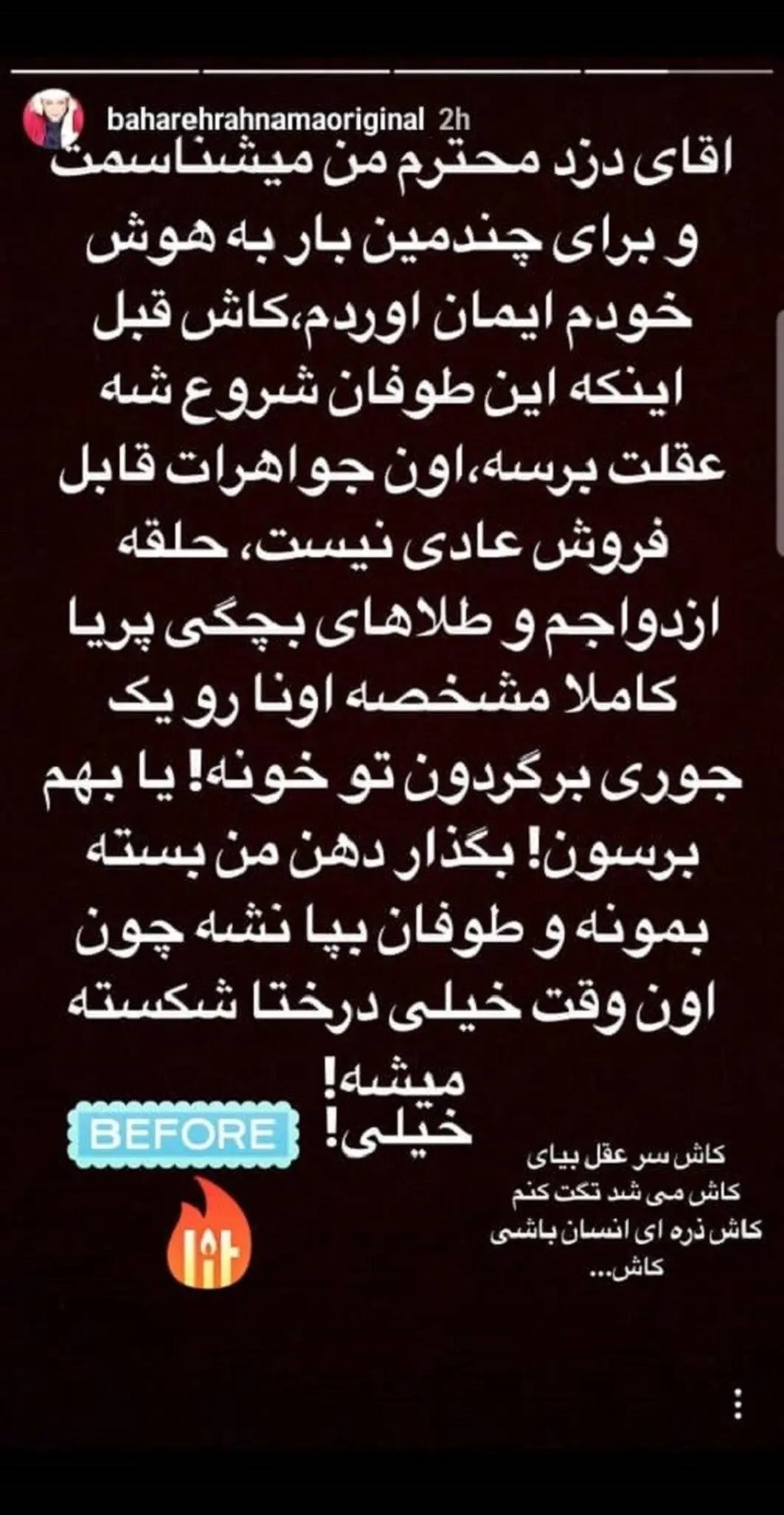 بهاره رهنما دزد خانه‌اش را تهدید کرد