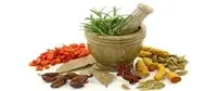 اساس طب سنتی ایرانی توجه به سبک زندگی صحیح است