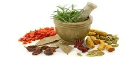 اساس طب سنتی ایرانی توجه به سبک زندگی صحیح است