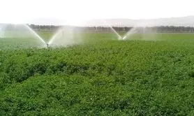 تخصیص ۱۲۰ میلیارد تومان اعتبار به طرح‌های آبیاری تحت‌فشار استان اصفهان