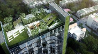اختصاص ۲۰ درصد عرصه پلاک ساختمان ها به گیاهان ریشه ای