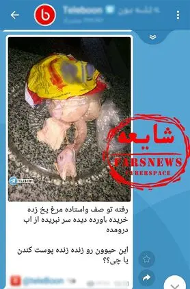 ذبح غیرشرعی مرغ ها؛ از شایعه تا واقعیت