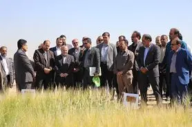 پیشرفت کشاورزی اصفهان در شاخص‌های مختلف