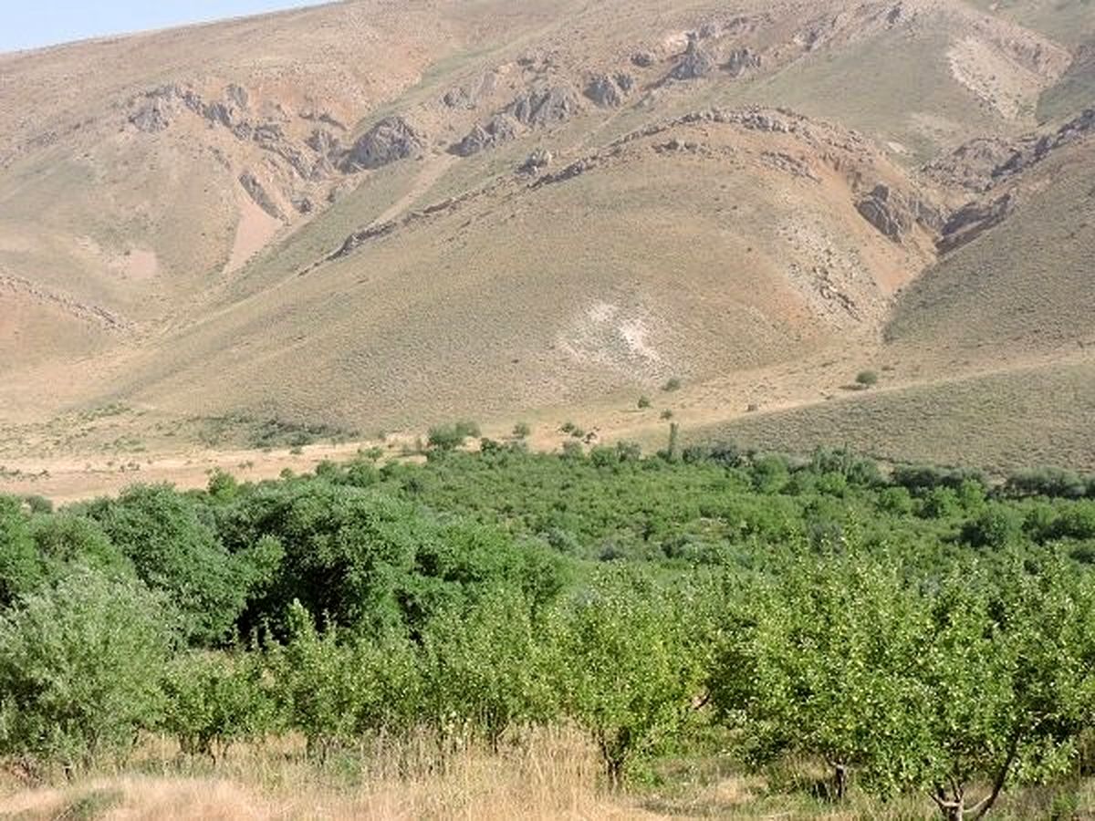 بهارانه ای در وصف خوان گسترده طبیعت شهرستان سمیرم