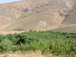 بهارانه ای در وصف خوان گسترده طبیعت شهرستان سمیرم
