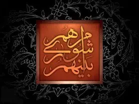 بررسی نقش سکانداران کشتی شهر در جامعه