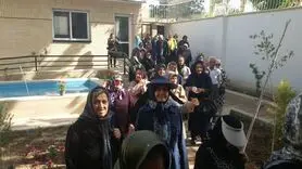 بهبود رابطه نسل‌ها با تکیه‌بر توانمندی سالمندان