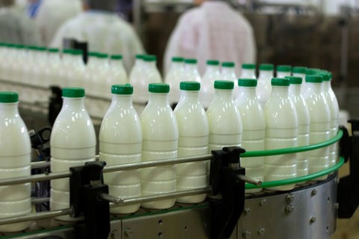 نبود صنایع تبدیلی بهینه و جولان دلالان در بازار شیر