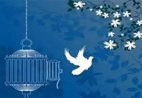 کاربران تلگرام در یک روز دیه یک زندانی را جمع کردند