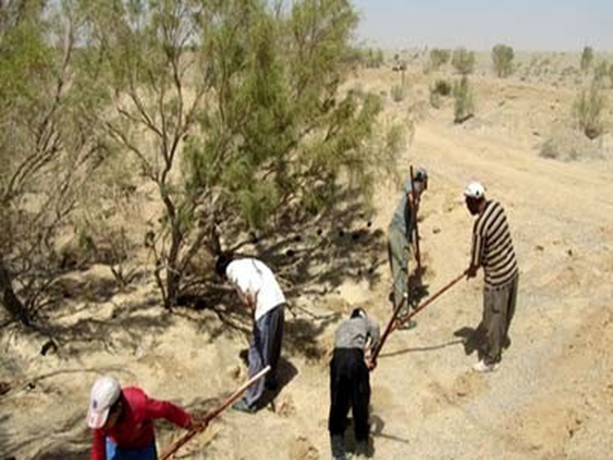 مبارزه با موش‌هاي صحرایی در تاغزارهای آران و بیدگل