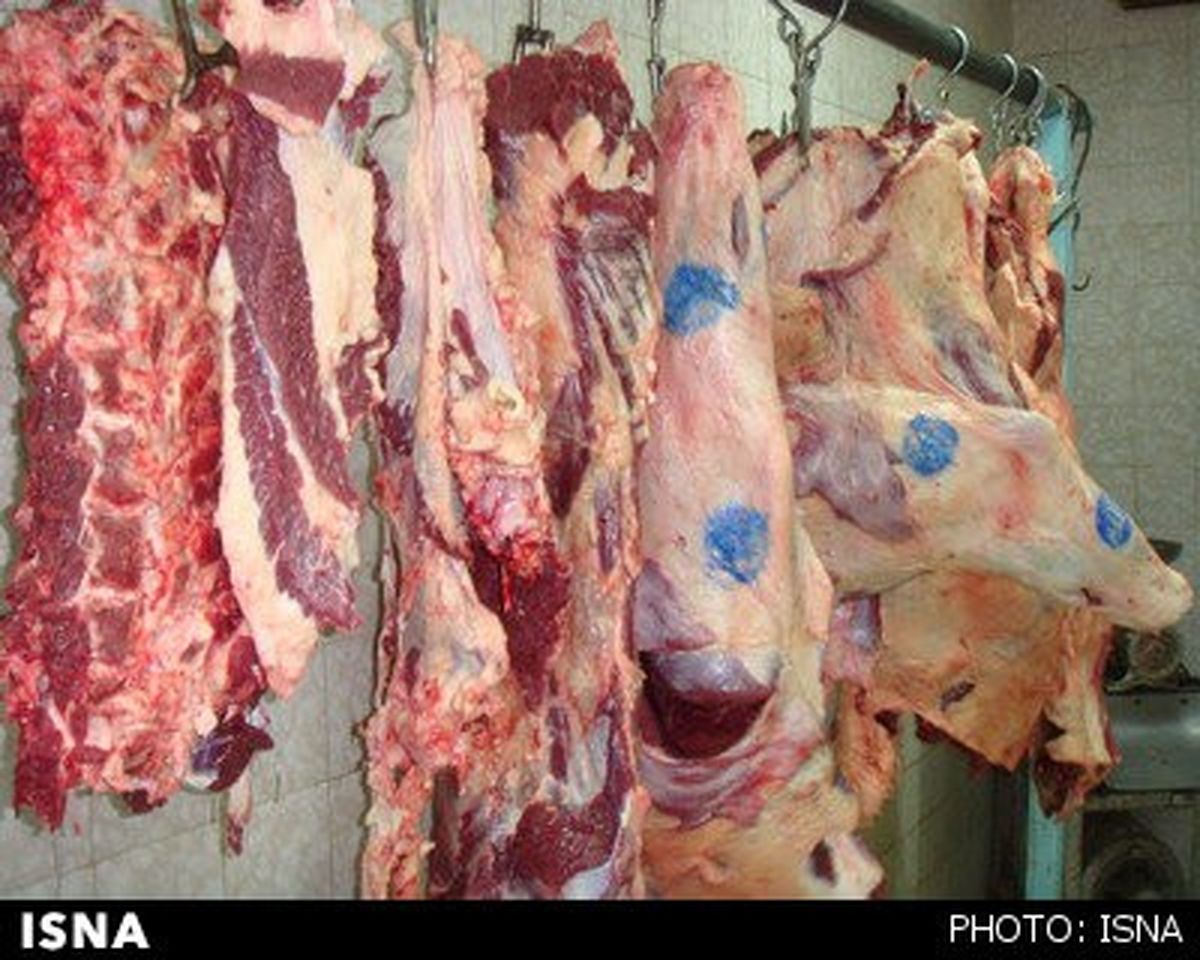از مراکز مجاز گوشت خریداری کنید