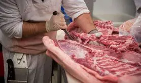 آخرین اخبار درباره تب کریمه کنگو