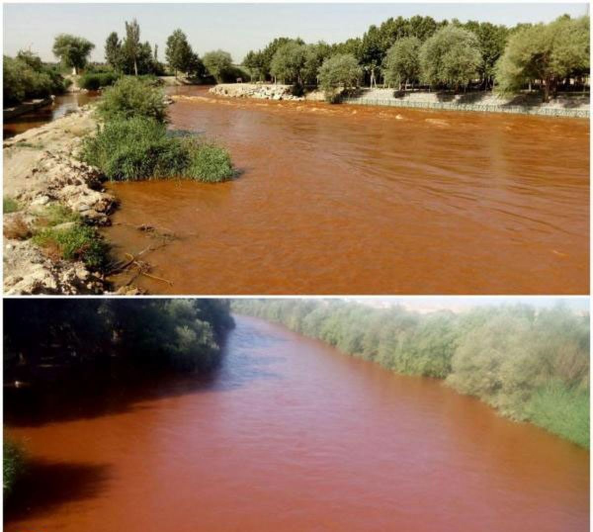 قرمز شدن آب زاینده رود باید از طریق محیط زیست پیگری شود