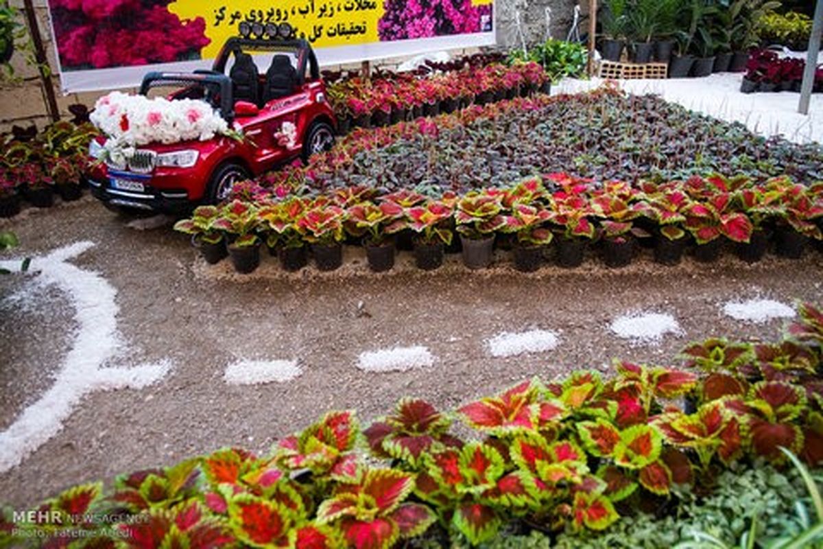 بیست و پنجمین جشنواره گل و گیاه و ماهیان زینتی برگزار می شود
