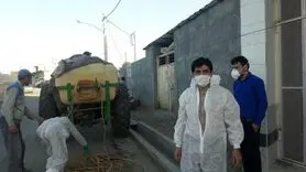 آغاز اجرای اقدامات پیشگیرانه برای جلوگیری از شیوع تب کنگو در لنجان