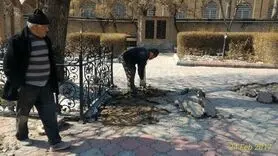 ساماندهی بوستان های سطح منطقه ۱۰ در سالجاری