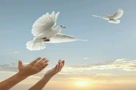 ۱۵هزار زندانی جرایم غیر عمد چشم انتظار خیرین هستند