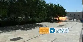 پوشش زنده/ عامل انتحاری خود را در حرم امام منفجر کرد