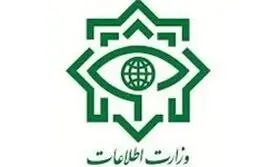 ورود چند تیم تروریستی به تهران/ یک تیم قبل از هر اقدامی دستگیر شدند
