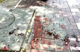 داعش مسئولیت حملات تهران را بر عهده گرفت