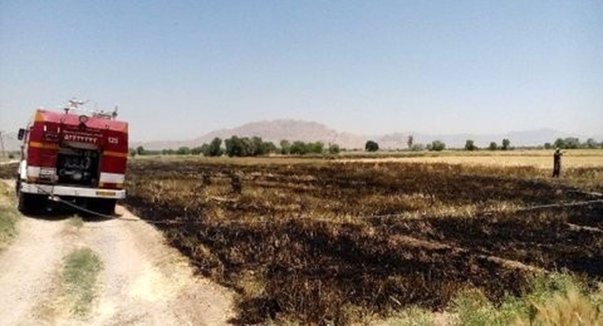 ۲ هزار متر مربع از مزارع گندم و جو کشاورزان مبارکه در آتش سوخت