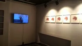 نشانه عریان: نمایشگاه دستان