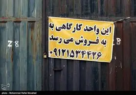 رفتار دوگانه برخی از سازمان‌های دولتی توان فعالیت تولیدکنندگان را کاهش می‌دهد