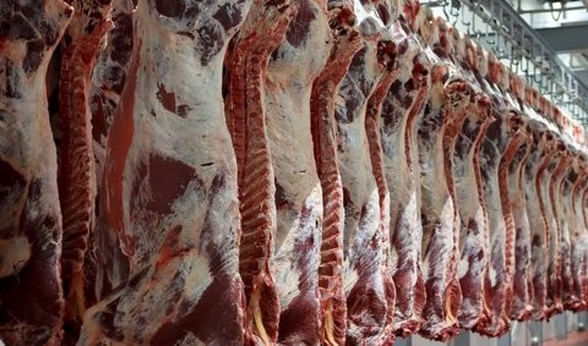 افزایش ۱۰۰۰ تومانی قیمت گوشت قرمز در بازار/گوشت ارمنستان به اصفهان نرسید
