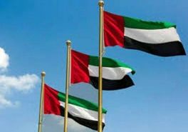 امارات ممنوعیت صادرات سلاح به لیبی را نقض کرد