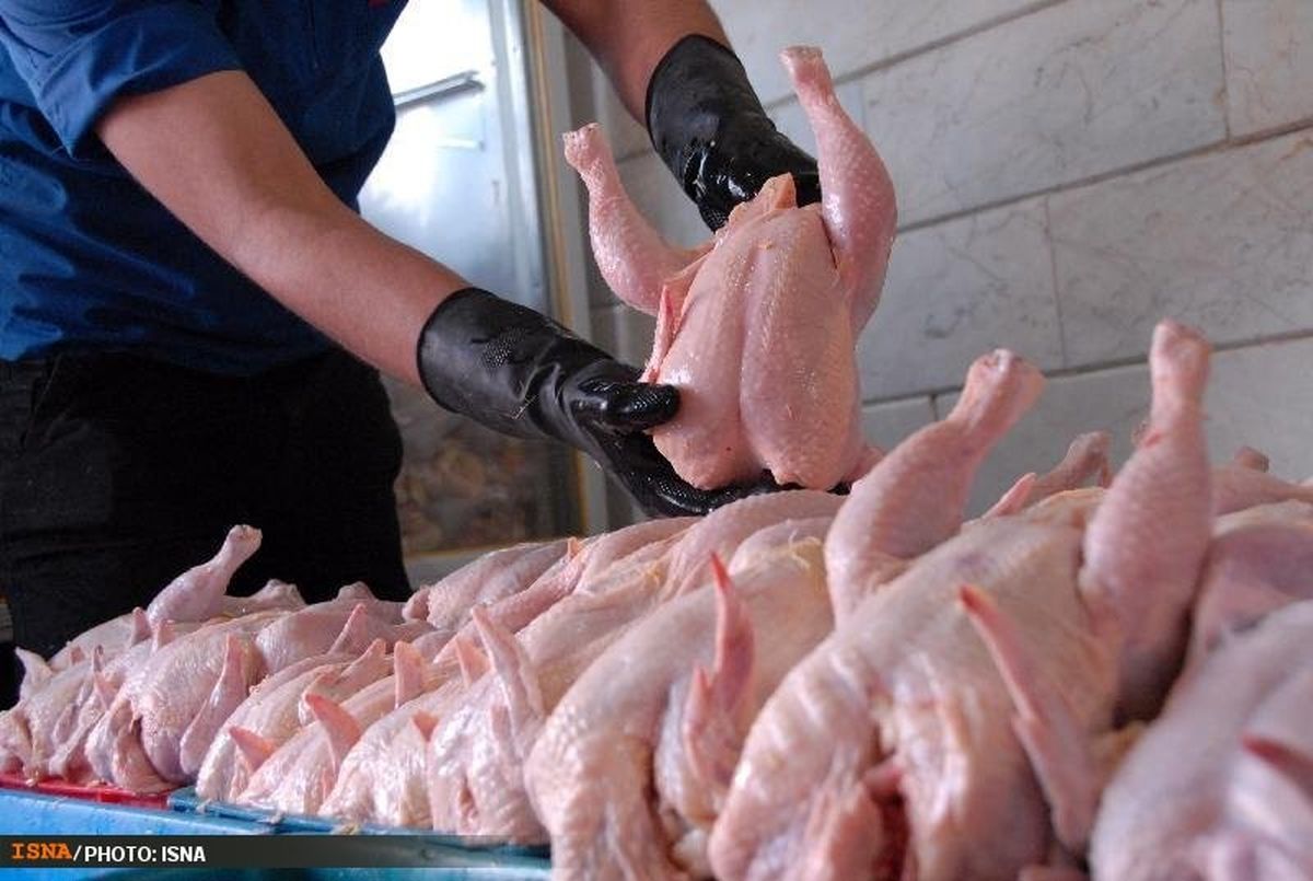 کاهش قیمت‌ مرغ تولیدی در استان اصفهان