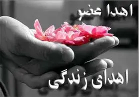 اعضای بدن جوان ۲۶ ساله اصفهانی به چهار بیمار نیازمند اهدا شد