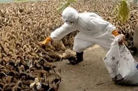 استاندار اصفهان:آمار قطعی مبتلایان به بیماری تب کنگو در اصفهان