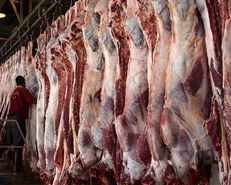تنظیم بازار گوشت بی نتیجه ماند، کسی جلودار گرانی گوشت قرمز نیست