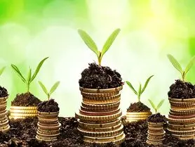 دست توسعه پایدار گردن محیط‌زیست