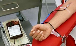 زینلی: مشارکت  ۹۷ درصدی  آقایان در اهدای خون