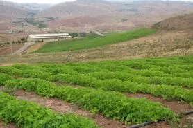 تحویل آب بصورت مستمر به کشاورزان اصفهانی تا دیماه امکانپذیر نیست