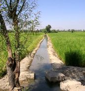 تاکیدبر پیوسته نبودن  توزیع آب کشاورزان اصفهانی در تابستانی