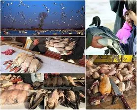 خطر آنفلوآنزا، بیخ گوش باغ پرندگان اصفهان گذشت