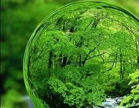 تاکسیدرمی برای حفظ تنوع زیستی