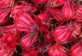 چای ترش یک جایگزین خوب برای چای سیاه
