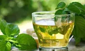 آشنایی﻿ با مزیت های نعناع برای سلامتی و زیبایی